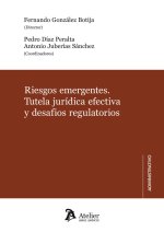 RIESGOS EMERGENTES TUTELA JURIDICA EFECTIVA Y DESAFIOS REGULATORI