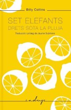 SET ELEFANTS DRETS SOTA LA PLUJA