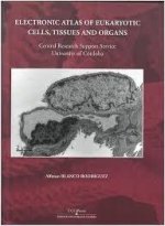 ELECTRONIC ATLAS OF EUCARYOTIC CELLS TISUUES AND ORGANS