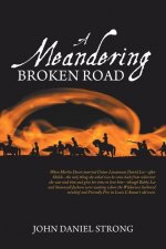 Meandering Broken Road