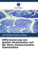Differenzierung von glatten Muskelzellen auf der Basis mesenchymaler Stammzellen