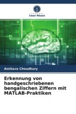 Erkennung von handgeschriebenen bengalischen Ziffern mit MATLAB-Praktiken