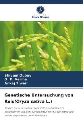 Genetische Untersuchung von Reis(Oryza sativa L.) (O. P. Verma,Ankaj Tiwari)(Carte broșată)