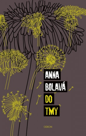 Anna Bolavá - Do tmy