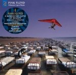 A Momentary Lapse Of Reason (Half Speed Master)