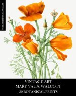 Vintage Art