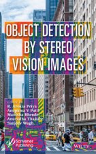 Object Detection by Stereo Vision Images
