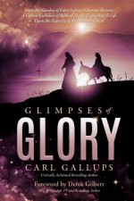 Glimpses of Glory: From the Garden of Eden to Jesus' Glorious Return--A Cosmic Collision of Biblical Truth, Exploding to Life Upon the Ta
