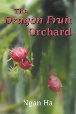 Dragon Fruit Orchard