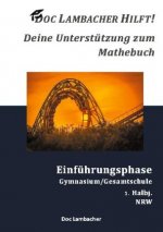 Doc Lambacher hilft! Deine Unterstutzung zum Mathebuch - Gymnasium/Gesamtschule Einfuhrungsphase (NRW)