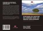 Stockage Du Dioxyde de Carbone Dans Les Medias Geologiques