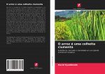 O arroz e uma colheita ciumenta
