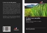 riso e un raccolto geloso