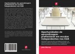 Oportunidades de aprendizagem profissional em escolas independentes nos EUA