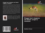Piogge fuori stagione nel Sahel