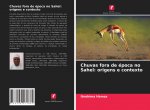 Chuvas fora de epoca no Sahel