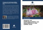 Umgang mit Zahlungsausfallen von Unternehmen in der CEMAC-Zone
