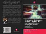 Colorizacao de imagens usando a tecnica de correspondencia de patchs em escala cruzada