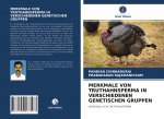 Merkmale Von Truthahnsperma in Verschiedenen Genetischen Gruppen