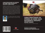 Caracteristiques Du Sperme de Dinde Dans Differents Groupes Genetiques