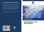 Stammzellen in der Zahnmedizin