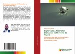 Exploracao Artesanal de Diamantes no Nordeste de Angola