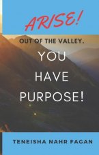 Arise! Out of the Valley. You Have Purpose!
