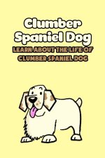 Clumber Spaniel Dog