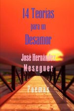 14 Teorias Para Un Desamor