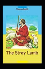 Stray Lamb annotated