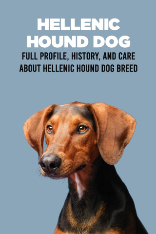 Hellenic Hound Dog