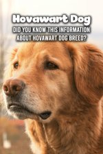 Hovawart Dog