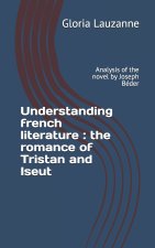Understanding french literature