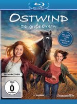 Ostwind - Der große Orkan