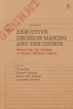 Executive Decision-Making and the Courts