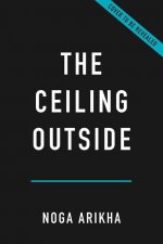 The Ceiling Outside: The Science and Experience of the Disrupted Mind