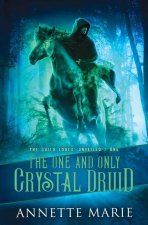 One and Only Crystal Druid