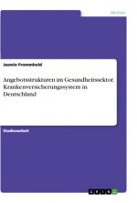 Angebotsstrukturen im Gesundheitssektor. Krankenversicherungssystem in Deutschland