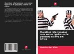 Questoes relacionadas com armas ligeiras e de pequeno calibre em Africa