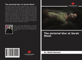 pictorial blur at Sarah Moon (Brožovaná)