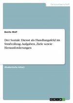 Der Soziale Dienst als Handlungsfeld im Strafvollzug. Aufgaben, Ziele sowie Herausforderungen