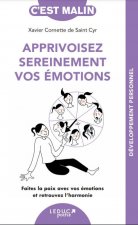 Apprivoisez sereinement vos émotions