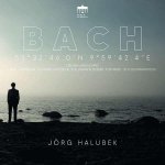 Bach Organ Landscapes:Hamburg