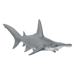Rekin młotowaty SLH14835