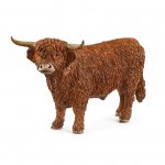 Highland bull SLH13919