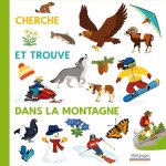 Cherche et trouve dans la montagne