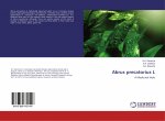 Abrus precatorius L