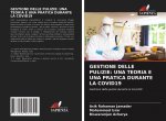 Gestione Delle Pulizie