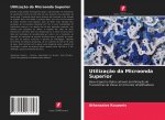 Utilizacao da Microonda Superior