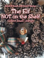 Elf NOT on the Shelf